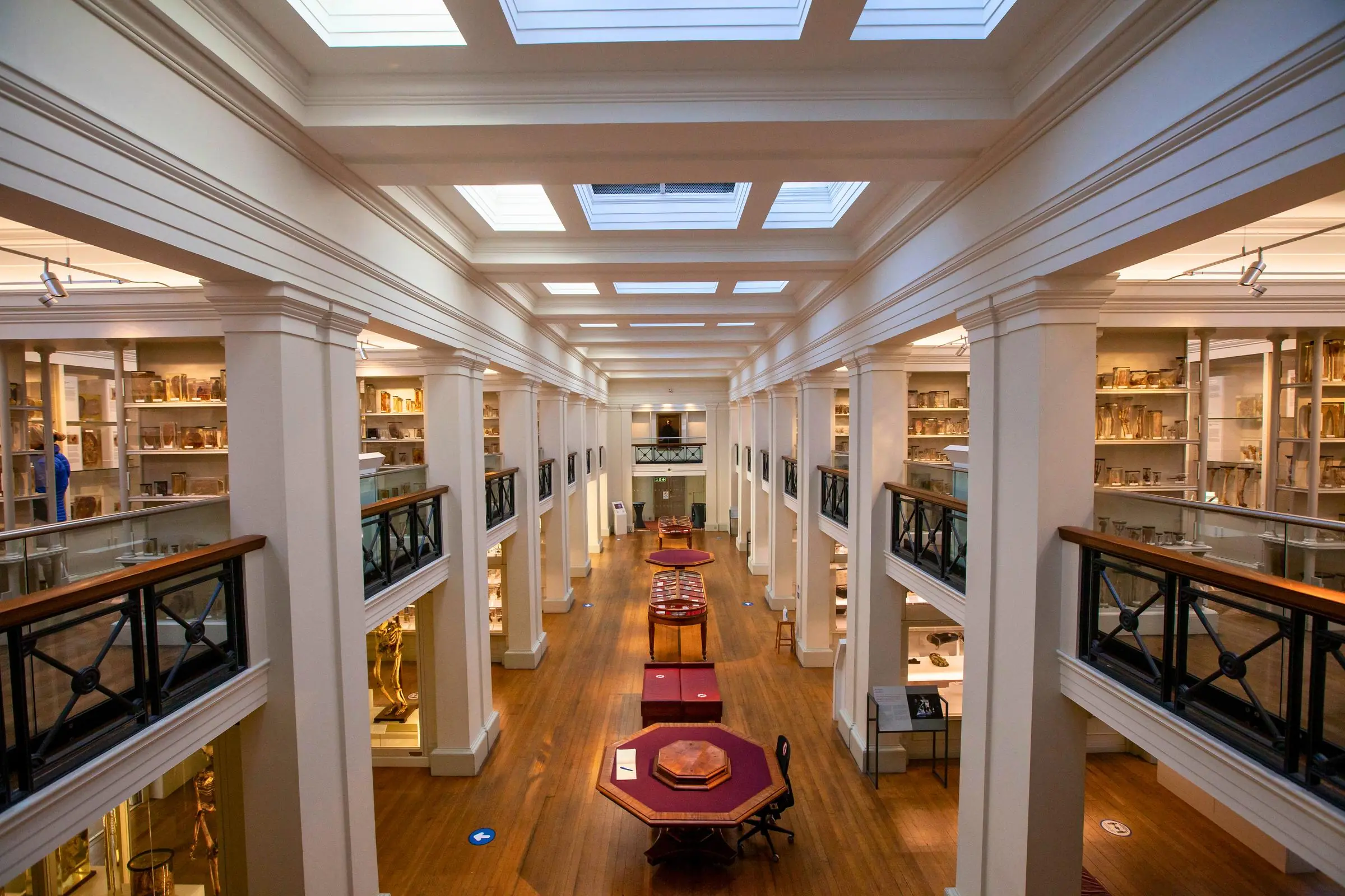 The Wohl Pathology Museum